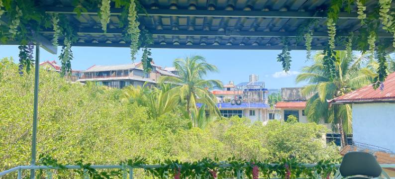 西双版纳景洪清心居青年旅舍图片