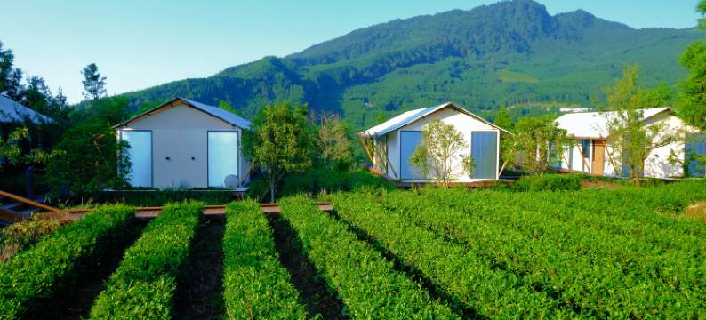 洪雅朴那雅缦云帐篷酒店图片