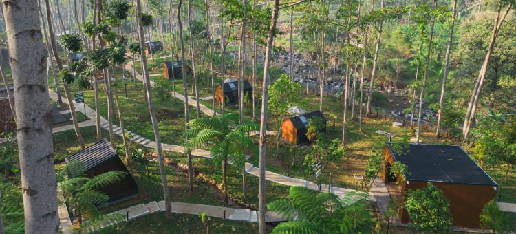 Bobocabin塔维亚庞查克(Bobocabin The Tavia, Puncak)图片