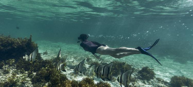 Club Med地中海俱乐部·塞舌尔度假村(Club Med Seychelles)图片