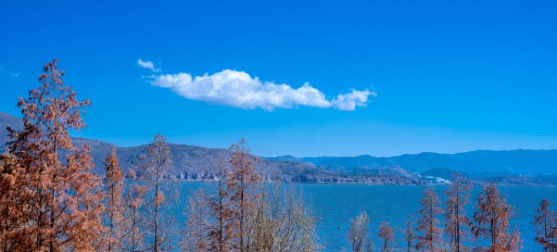 大理山海悦海景民宿(洱海生态廊道才村店)图片