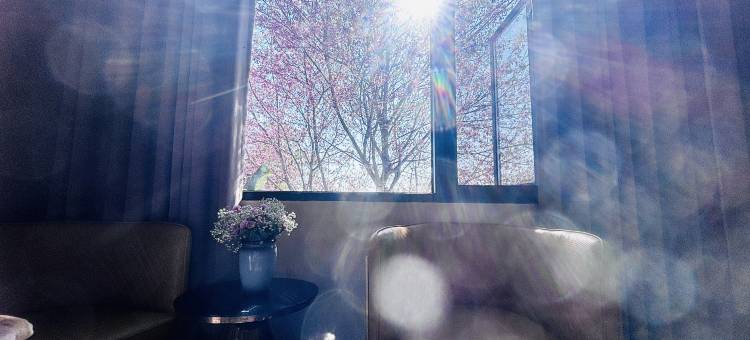 云山民宿(百花岭店)图片