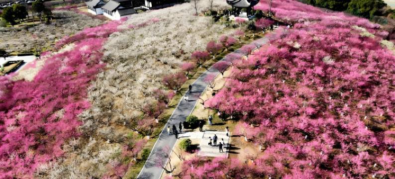 如家睿柏·云酒店(张家港金港中央广场店)图片