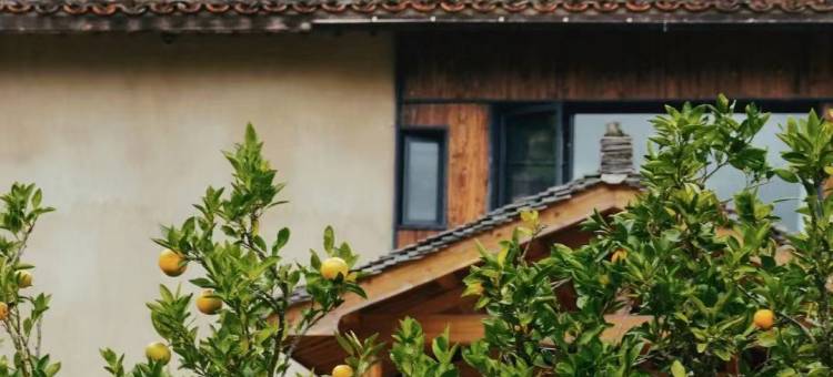 丽水遂昌乐领旗山侠隐庄园图片