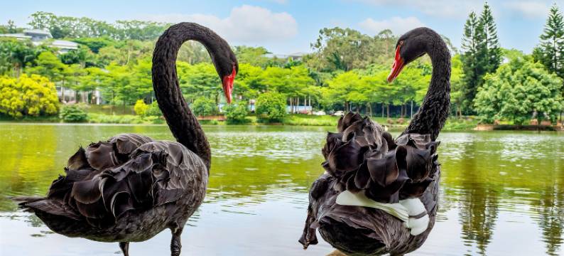 南宁荔园山庄图片