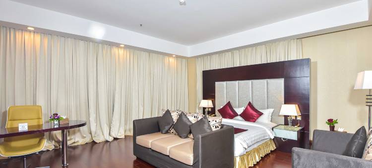 明星机场酒店(Dara Airport Hotel)图片