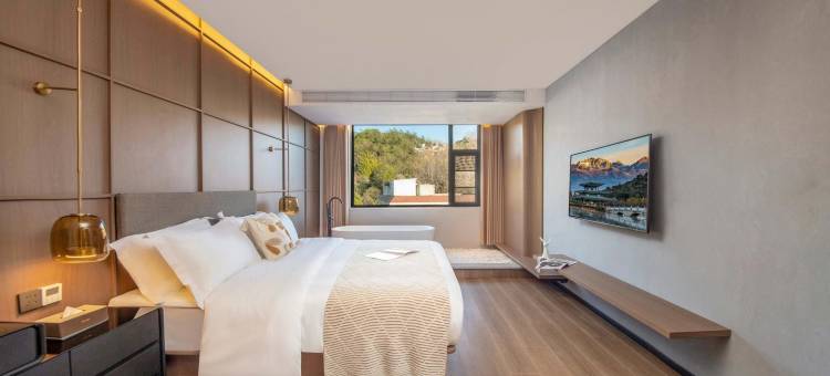 里昂｜和禧·食饮有节·雪山观景度假酒店(丽江古城大水车店)图片