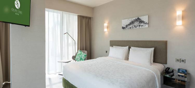 槟城橄榄树酒店(Olive Tree Hotel Penang)图片