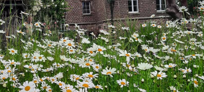 乐特姆斯顿若威酒店(Le temps des reves)图片