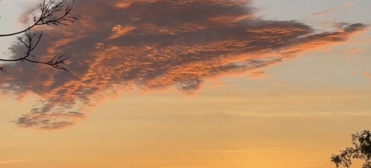 庐山犁云·family极简轻奢心宿(小天池店)图片