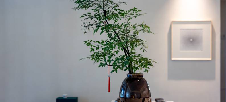 舟山璞真君澜度假酒店图片