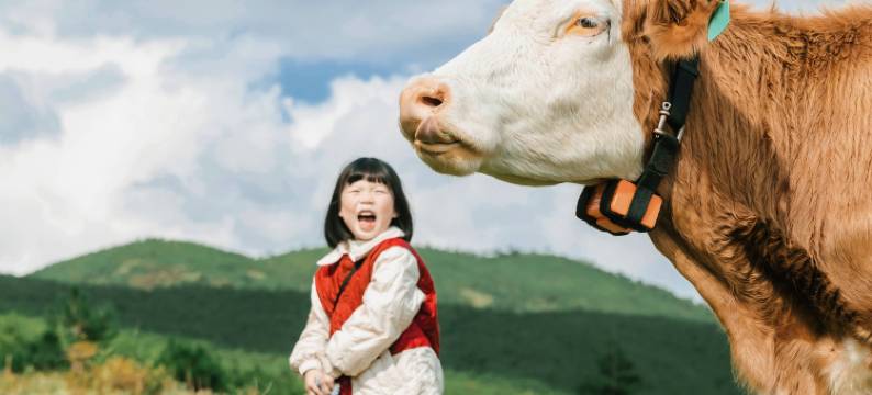 墅家玉庐·日照金山纳西秘境Villa(丽江店)图片