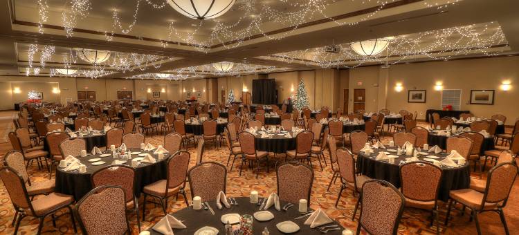 拉姆西酒店和会议中心(The Ramsey Hotel and Convention Center Pigeon Forge)图片