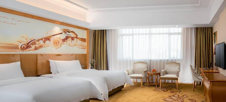 维也纳酒店(梅州五华店)图片