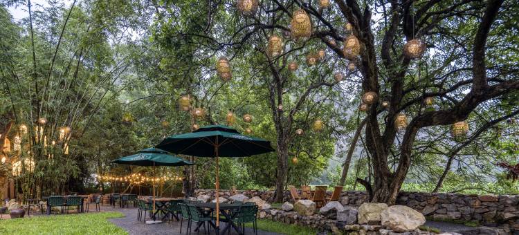 大新明仕阿树院子民宿图片