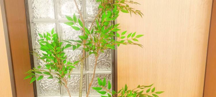 都市花园酒店(天津宁河福康花园店)图片