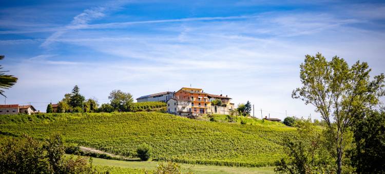 圣马蒂诺农庄旅馆(San Martino Langhe)图片