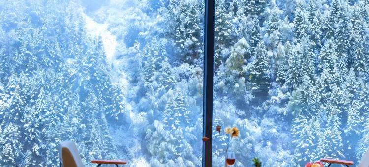 Vala Toms山崖朔溪酒店(四姑娘山景区店)图片