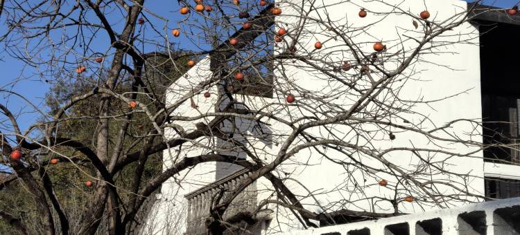 窄门齐云归风图片