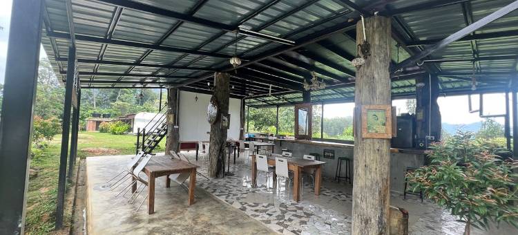 OYO 91261 Thebukit, Langkawi图片