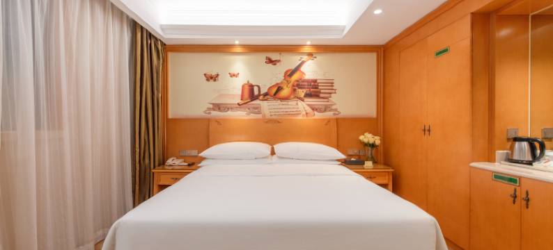 维也纳酒店(佛山顺德锦龙地铁站店)图片