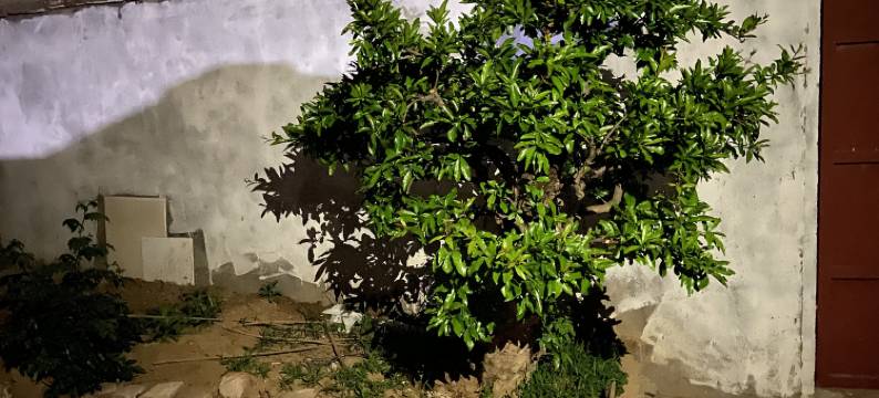 优格青年民宿(人民广场店)图片