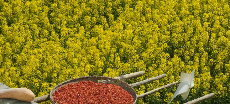 印象婺源・Wuyuan Impression主题美宿(李坑风景区店)图片