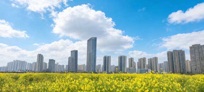 长沙延年洋湖公园酒店图片