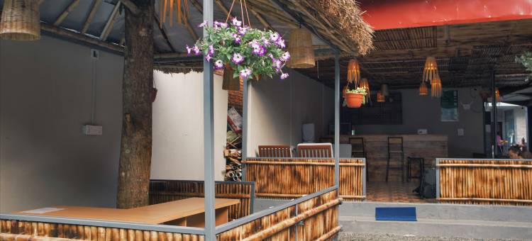 The Mango Tree- Backpackers Hostel图片