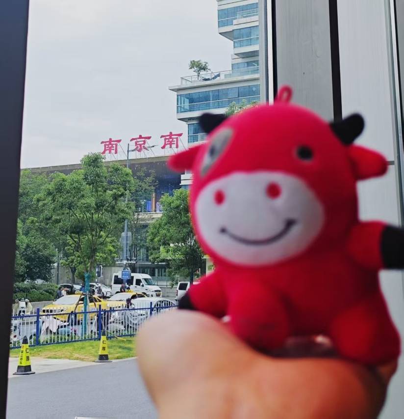 南京南站逸扉酒店图片