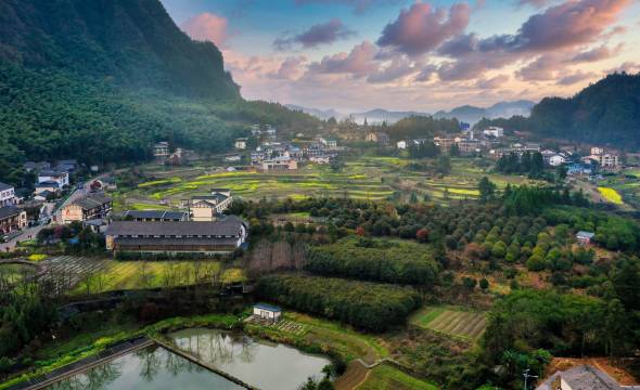 阅竹|赏奇峰云海·览世外田园·森氧山居(国家森林公园中门店)图片