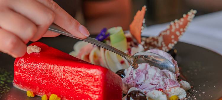韦斯特布罗克格鲁宁根凡德瓦克酒店(Van der Valk Hotel Groningen-Westerbroek)图片