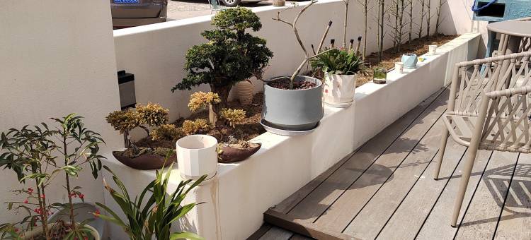 九华山本心叁舍民宿(化城寺店)图片