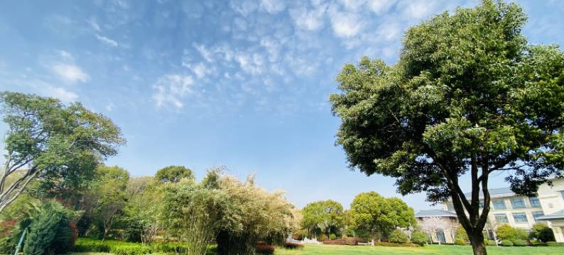 镇江迎宾馆图片