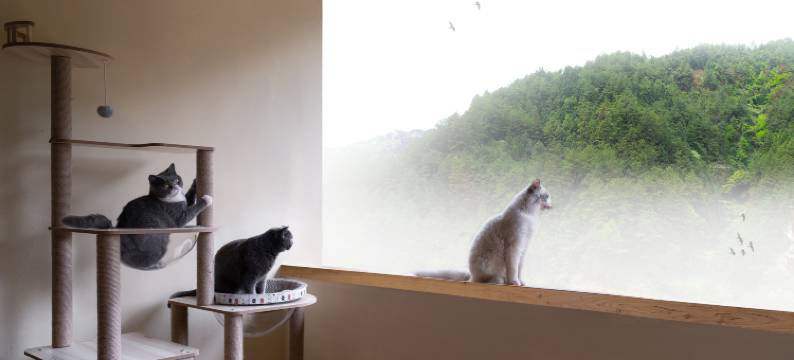 一见一山上品民宿(西江千户苗寨观景台店)图片