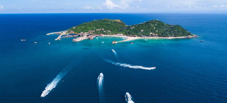 分界洲岛海豚湾客栈图片