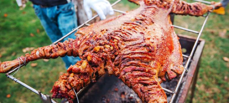 安吉园外园民宿(竹博园灵峰山店)图片