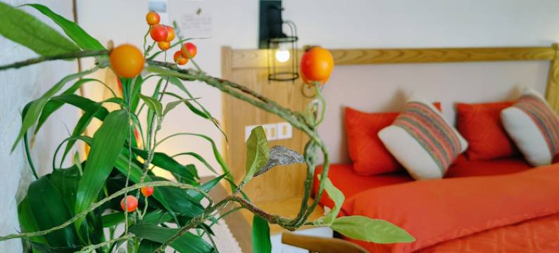 大理玺竹山居小院图片