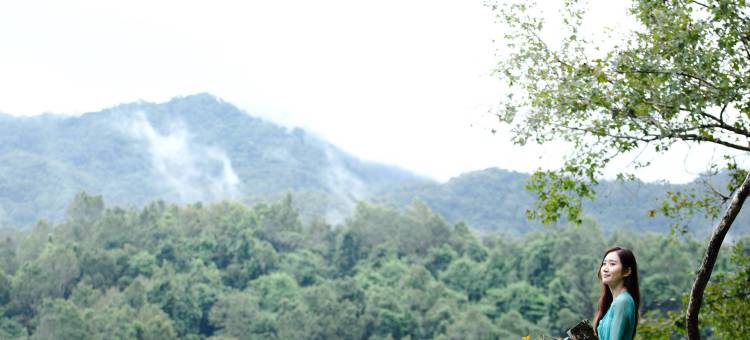 方诺寨·雨林生态庄园图片