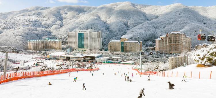 维瓦尔第公园酒店(VivaldiPark)图片