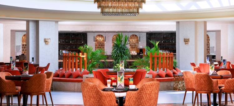 皮卡巴特罗沙姆沙伊赫宫酒店(Pickalbatros Palace Sharm)图片