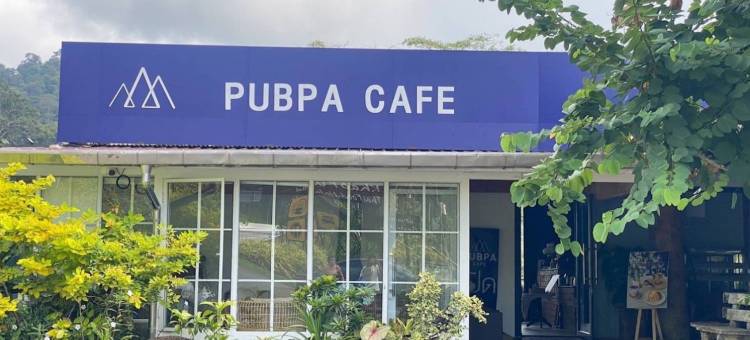 Pubpa后院(The Pubpa Backyard)图片