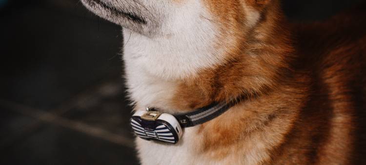 花筑·叁间堂(华阴华山北站店)图片