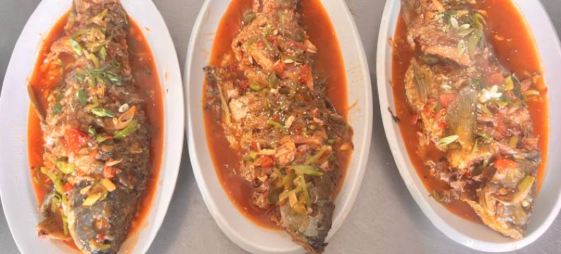 中卫金色田园农家图片