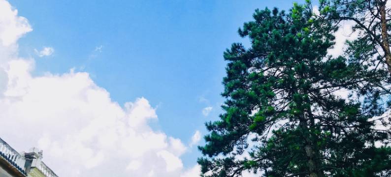 英山御林农庄图片