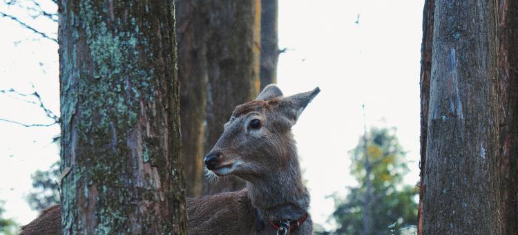 路之青城温泉酒店图片