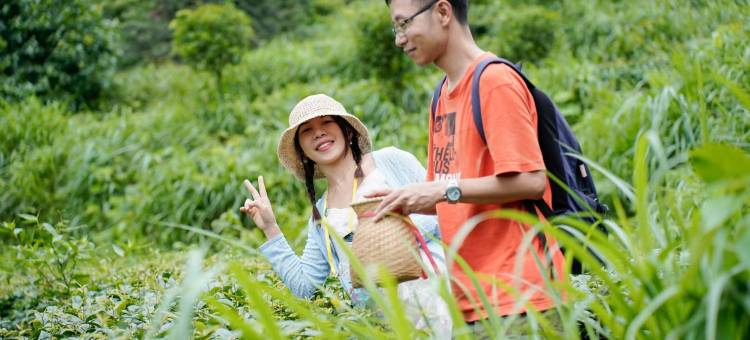 皇后山氧心谷避暑山庄图片