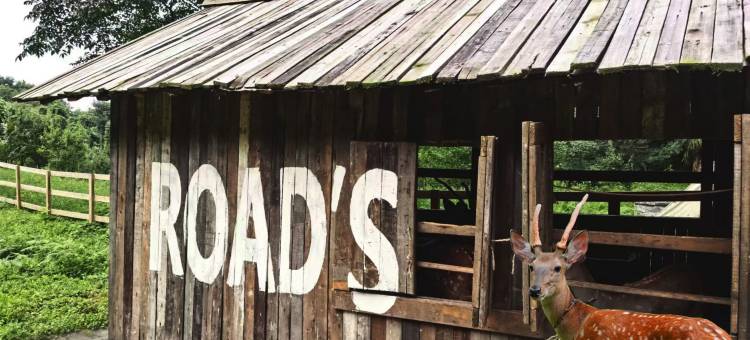 路之青城温泉酒店图片