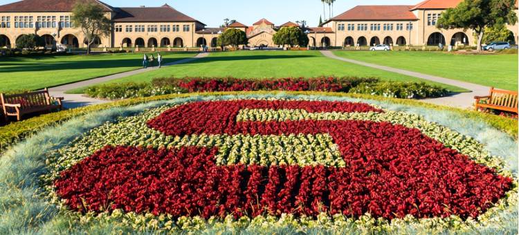 特帕洛阿尔托克莱门特酒店(The Clement Palo Alto)图片