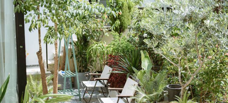 花筑·取景框花园民宿(大理古城店)图片